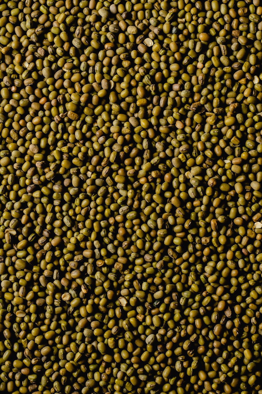Protéines et fibres pour la satiété durable