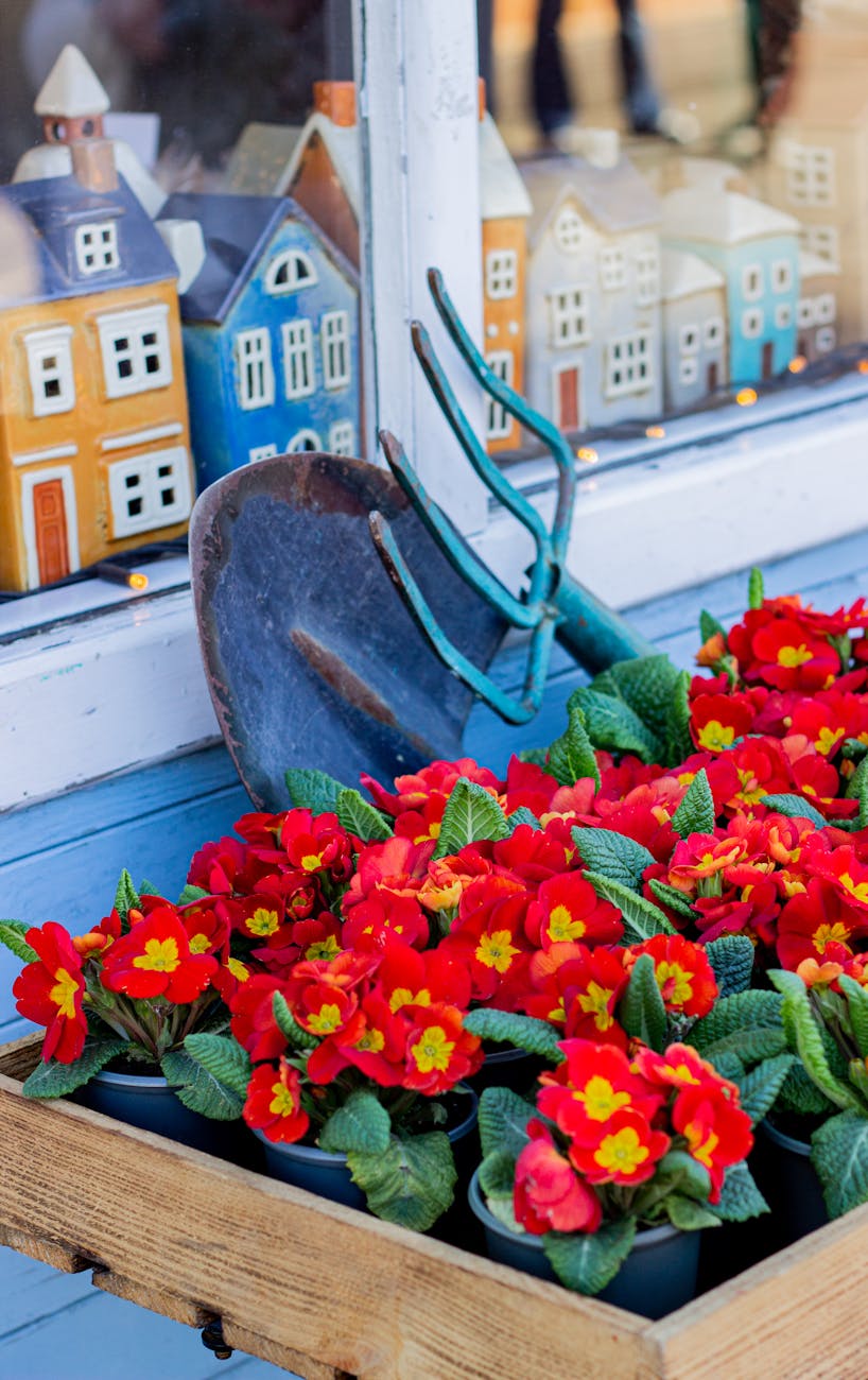 Top 5 outils jardinage printanier