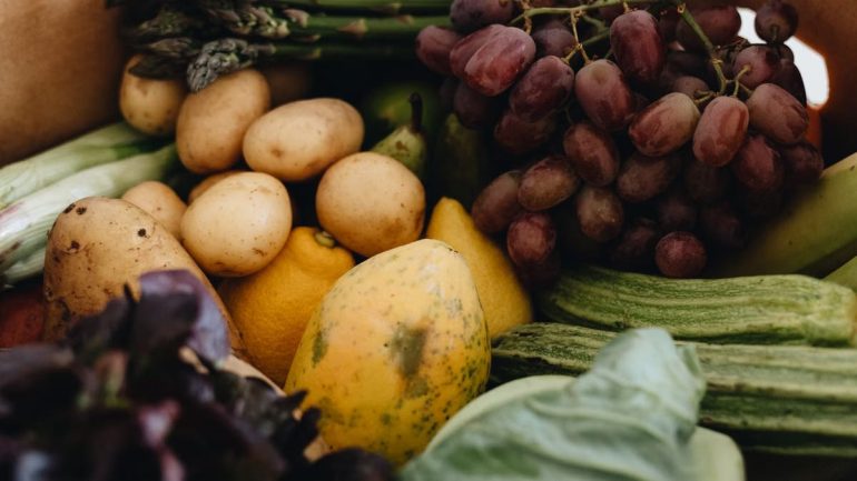 Les meilleures box de fruits et légumes bio en 2026
